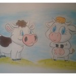 Cows