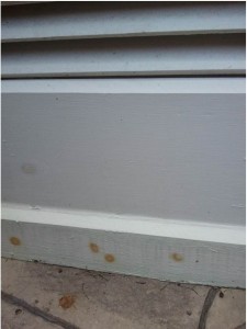 Cupola spots before zinsser