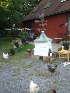 Painted cupola with chicken