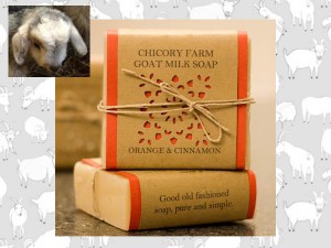 Chicory Farm