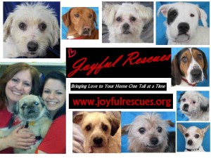Joyful rescues