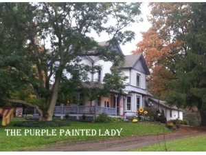 House The Purple Painted Lady