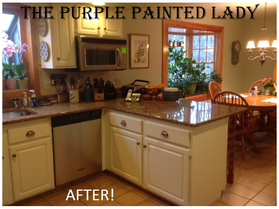 Are your Kitchen Cabinets dated? (Before & After Photos)