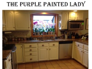 The Purple Painted Lady Kitchen BEFORE AFTER SUsan Old White 3