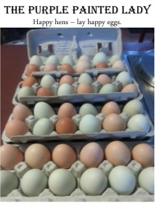 Chickens eggs