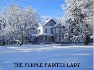 The Purple Painted Lady home winter house 845