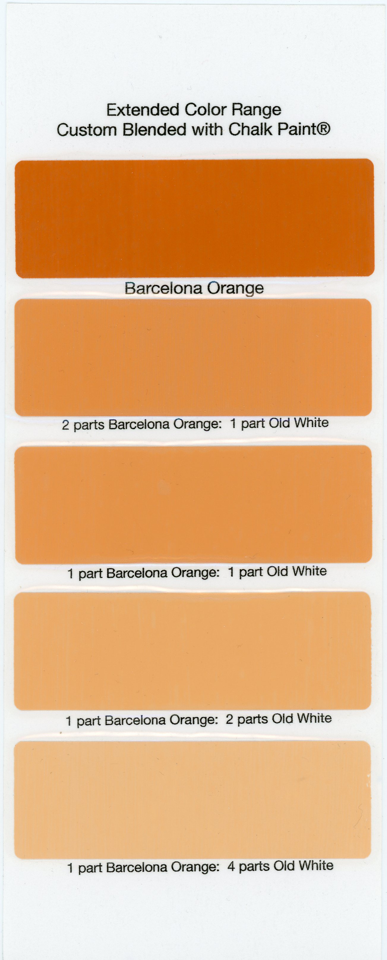 sample board The Purple Painted Lady