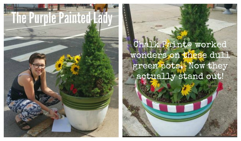 The Purple Painted Lady Painted outside pots flowers chalk paint before after