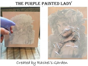 Amy Rachel's Garden The Purple Painted Lady Removal